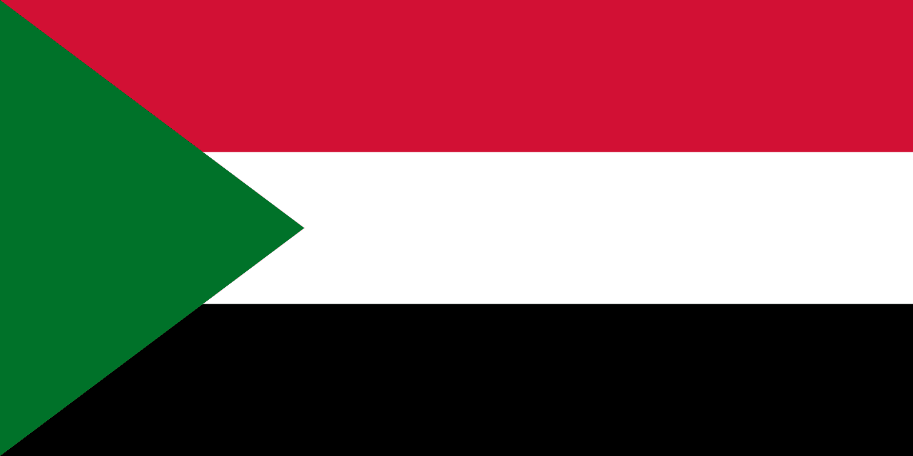 انجمن سودانی پناهندگان (SAR-Greece) logo